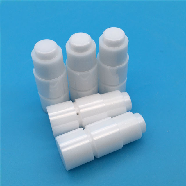 ceramic bearing plunger